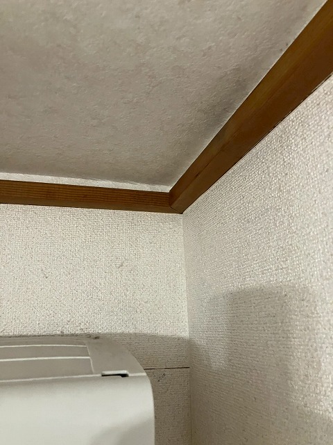 所沢市のアパートで室内で天井に水染みが出た、雨漏りが生じており調査のご依頼、原因はベランダ漏水